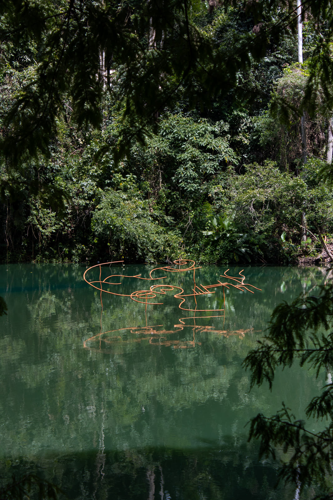 Instalação dourada refletida no lago de Inhotim