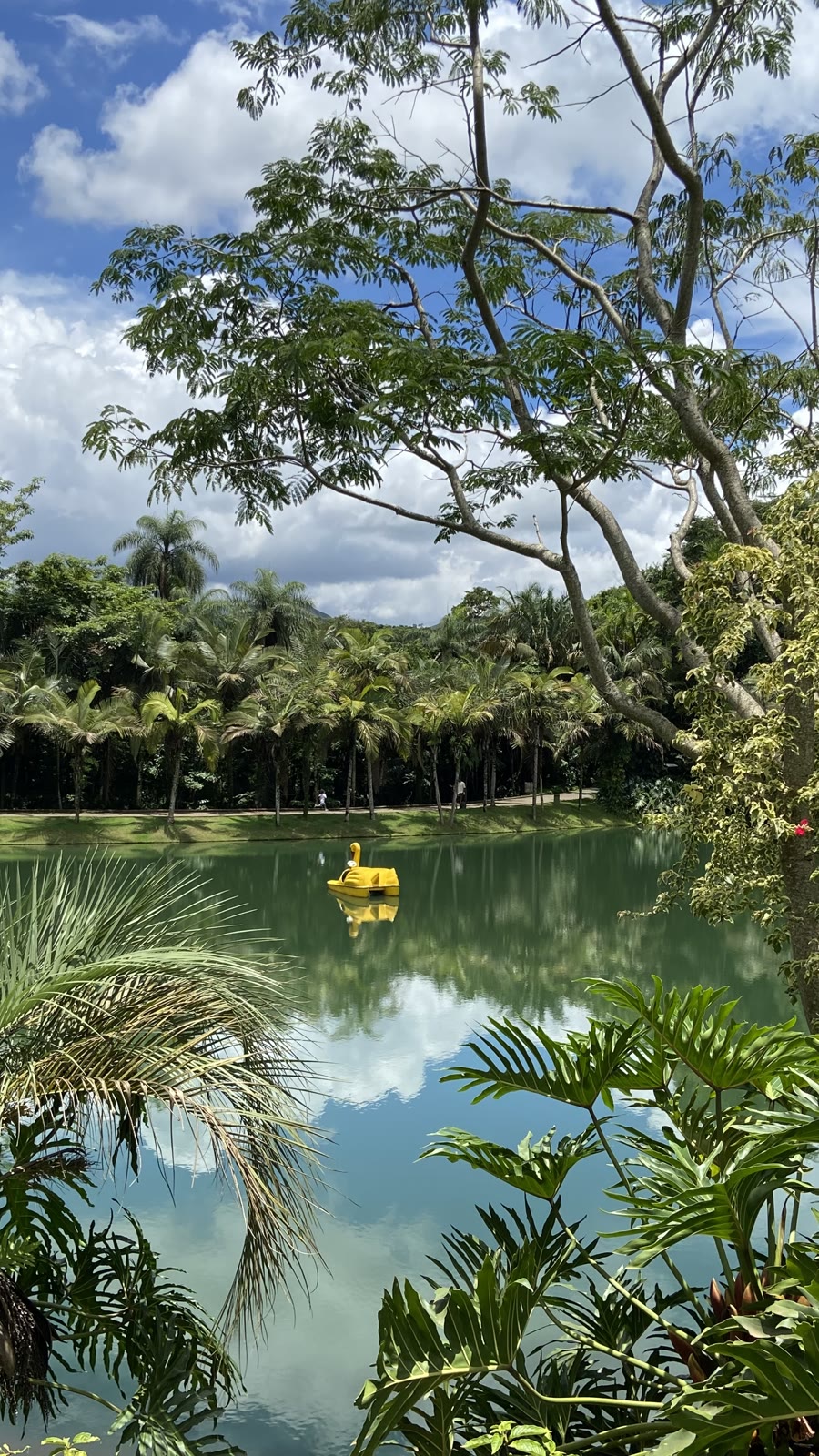 Lago com pedalinho amarelo entre a vegetação de Inhotim